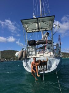 Chloe the dog with her owner Tim sitting on the back of the boat having had a swim