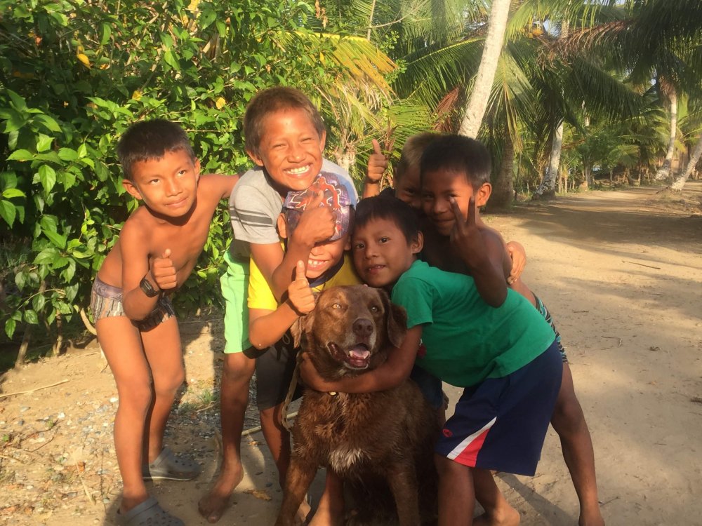 chloe the dog surrounded by happy smiling children who are hugging her