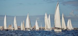 white sails as far as the eye can see and calm waters as the fleet cross the start line