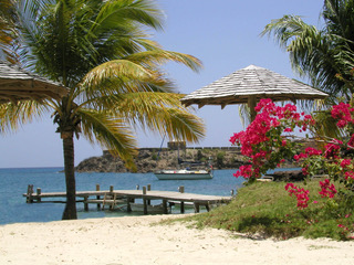 a white beach palm tree wooden dock and brightly coloured pink flowers in front of a reed umbrella with a yacht in the distance at anchor