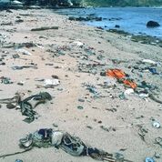 a white sand beach covered in bits of rubbish