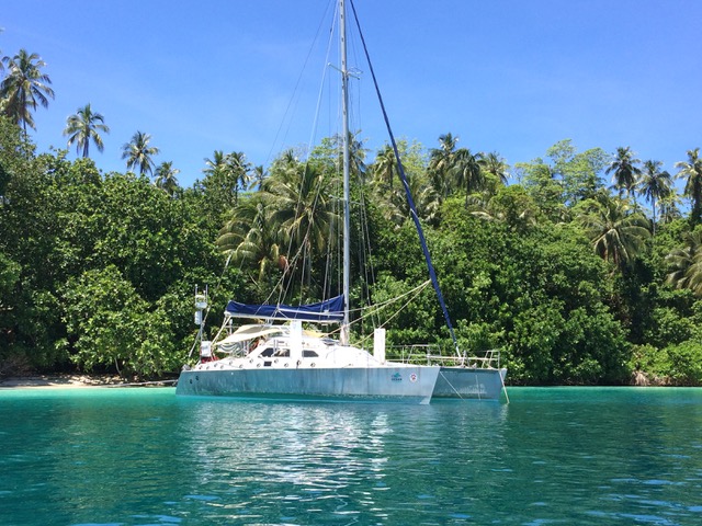 a tropical island with abundant greenery and palm trees ashore and transparent water with a white catamaran at anchor